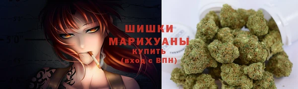 ГАЛЛЮЦИНОГЕННЫЕ ГРИБЫ Няндома