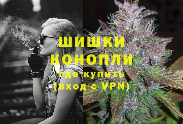 прущие грибы Богородицк
