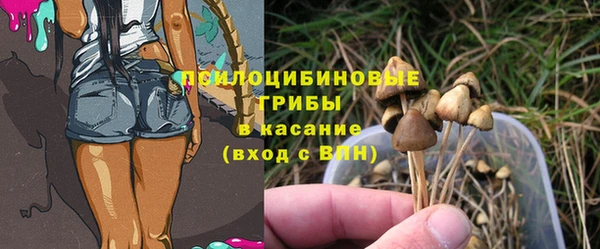 мяу мяу мука Белокуриха